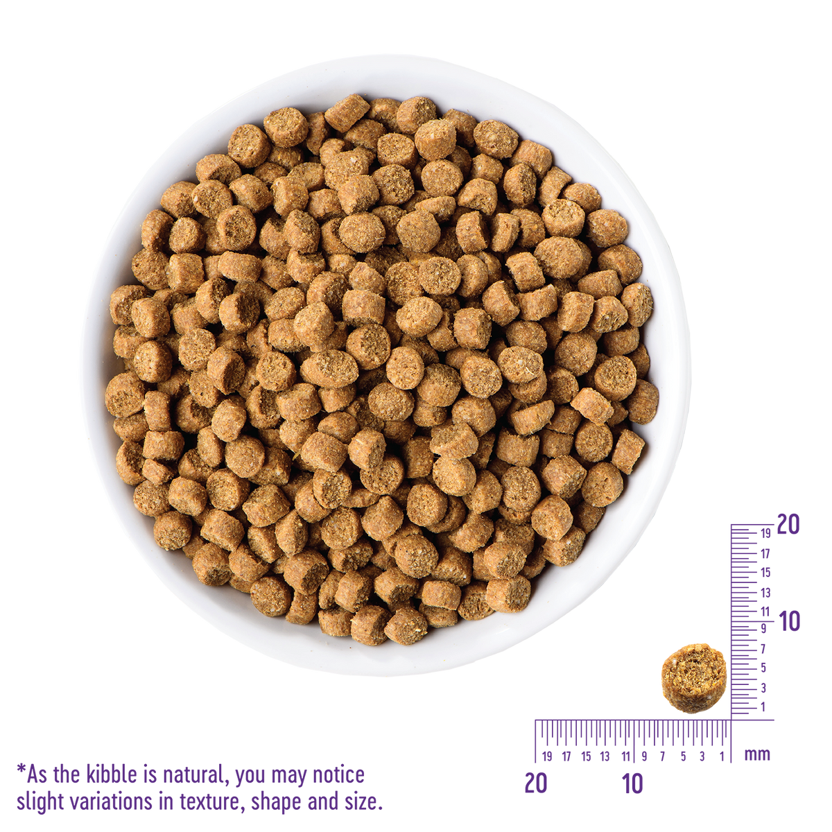 Healthy grain free cat food clearance