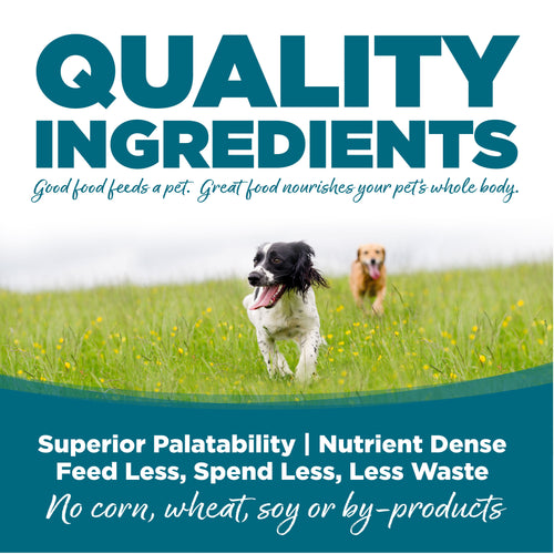 NutriSource® Adult Chicken & Rice Recipe Dry Dog Food (26 Lb)