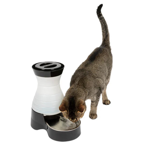 PetSafe Healthy Pet Water Station™