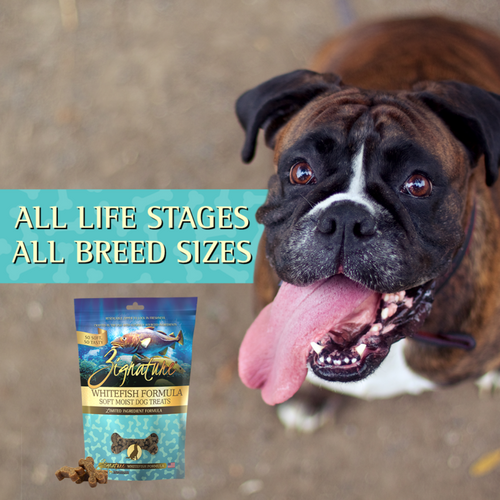 Zignature Whitefish Soft Moist Treats for Dogs