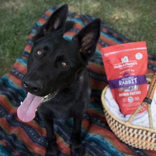 Stella & Chewy's Freeze-Dried Raw Dinner Patties For Dogs Absolutely Rabbit Recipe