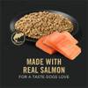 Pro Plan Sensitive Skin & Stomach Salmon & Rice Entrée Classic Wet Dog Food