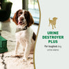 Nature's Miracle Urine Destroyer Plus Foaming Aerosol Spray For Dogs