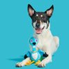 BARK Lele the Nene Goose Plush Tug + Extra-Large Dog Toy