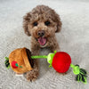 Territory Tomato Treat-and-Tug Dog Toy