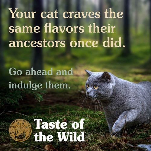 Taste Of The Wild Lowland Creek Feline Recipe with Roasted Quail & Roasted Duck (14-lb)