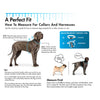 Coastal Pet Products Titan Dog Prong Training Collar (2.0 MM X 14)